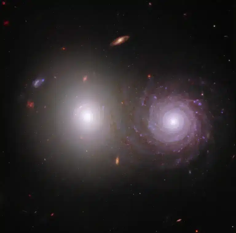 This image, showing an elliptical galaxy (left) and a spiral galaxy (right) includes nearby AA light from the James Webb Space Telescope and UV light seen from the Hubble Space Telescope. Credit: NASA, ESA, CSA, Rogier Windhorst (ASU), William Keel ( University of Alabama), Stuart Wyithe (University of Melbourne), JWST PEARLS Team, Alyssa Pagan (STScI)