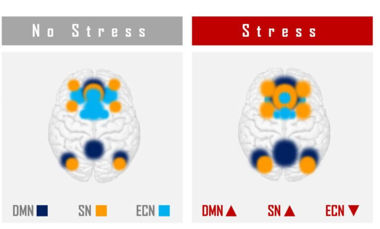 Brain during stress and without it. SN - the saliency network: reacts to significant events for a person, and when stressed expands in the cerebral cortex at the expense of the executive functions network ECN - the executive functions network: involved in attention, working memory, emotional regulation and social functioning and studies DMN - the default network: a system of brain areas that is mainly active in situations Rest in which the person is awake. Changes significantly after exposure to trauma and depression and anxiety