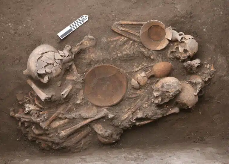 ממצאים כנעניים מתל מגידו (באדיבות משלחת ארכיאולוגית מגידו)