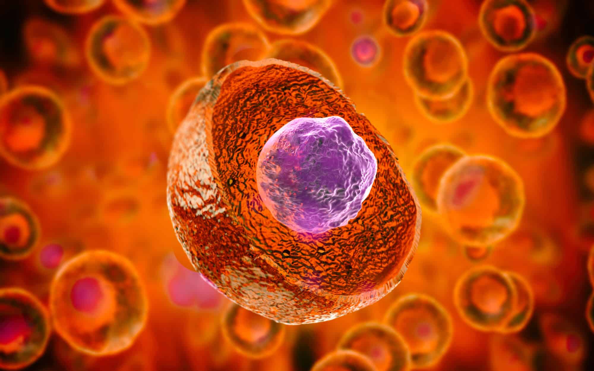 Embryonic stem cells. Illustration: depositphotos.com