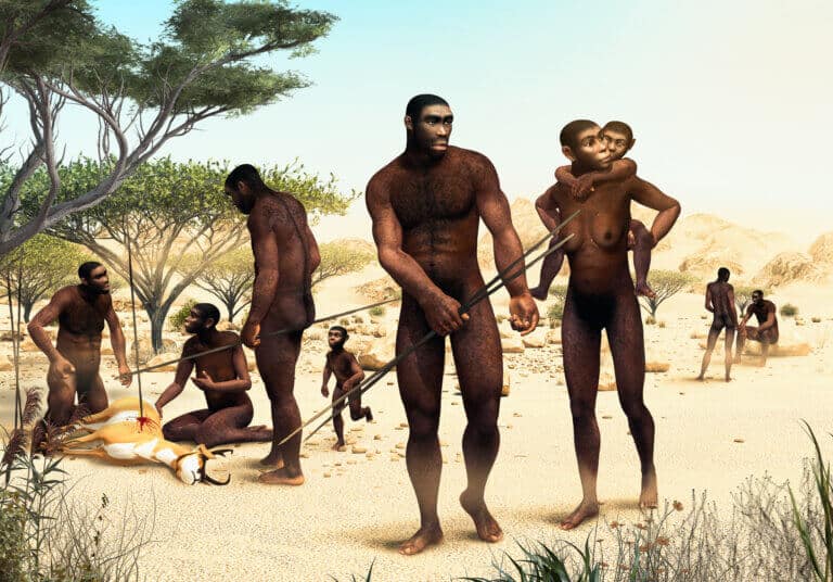 The Homo erectus tribe participates in the hunt. Illustration: depositphotos.com