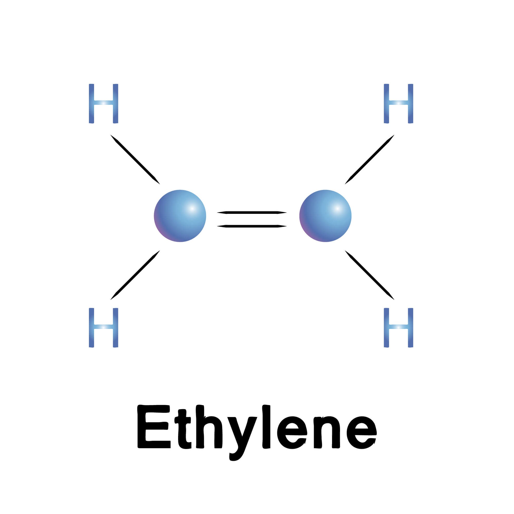The structure of the ethylene molecule. Illustration: depositphotos.com