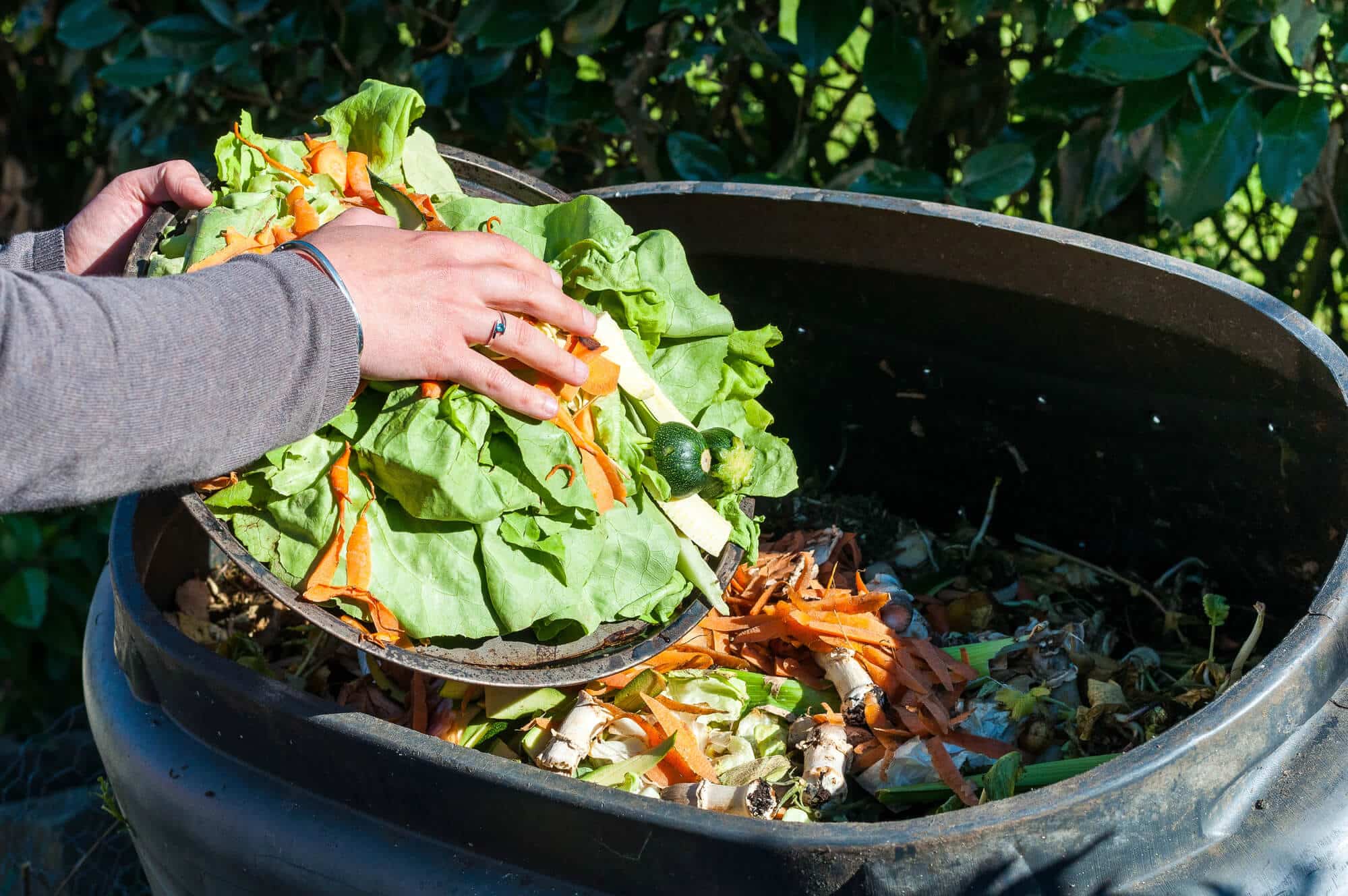 Throwing food in the trash. Illustration: depositphotos.com