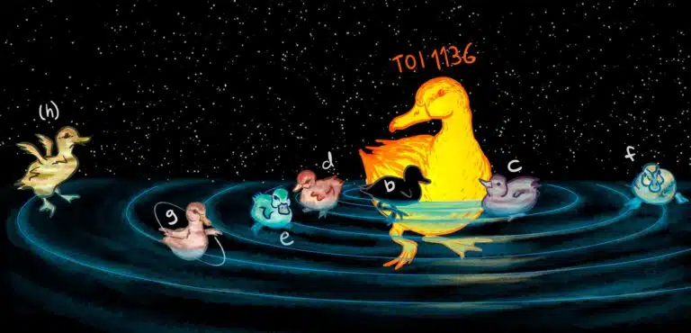 ייצוג משעשע של מערכת TOI-1136 אם כל אחד מהגופים במערכת היה ברווז או ברווזון. קרדיט: Rae Holcomb/אוניברסיטת קליפורניה באירווין