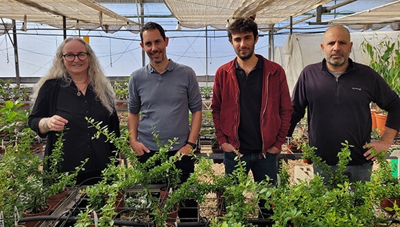 From the right: Sela Yehezkel, Ohad Roth, Dr. Roy Weinstein and Dr. Einat Sdot