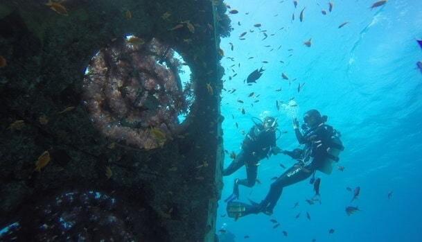 Two pairs of introductory divers and their guide surround the artificial reef Photo: Dr. Jenny Tiniakov