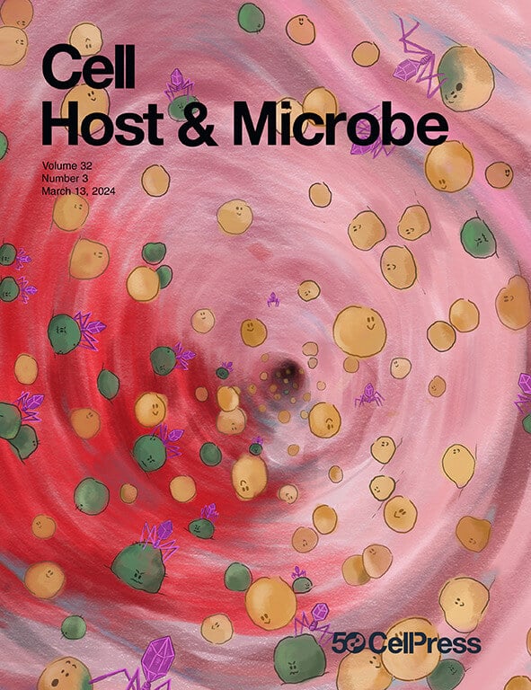 The cover photo on the issue: Cell Host & Microbe This is how the bacteriophages (in purple) affect the function of the bacteria by reversing the DNA - a reversal that changes their effect on the immune system. This effect is demonstrated by changing the color of the bacteria from yellow to green. Illustration credit: Tomm Blum