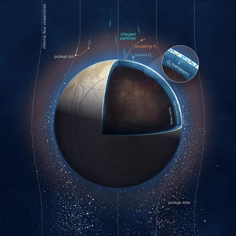 האיור הזה מראה חלקיקים טעונים מצדק פוגעים בפני אירופה, ומפרידים מולקולות של מים קפואים למולקולות מימן וחמצן. המדענים מאמינים שחלק מגזי החמצן החדשים האלה שנוצרים יכולים לנוע אל האוקיינוס התת קרקעי של הירח, כפי שמראה האיור בעיגול. קרדיט: NASA/JPL-Caltech/SWRI/PU