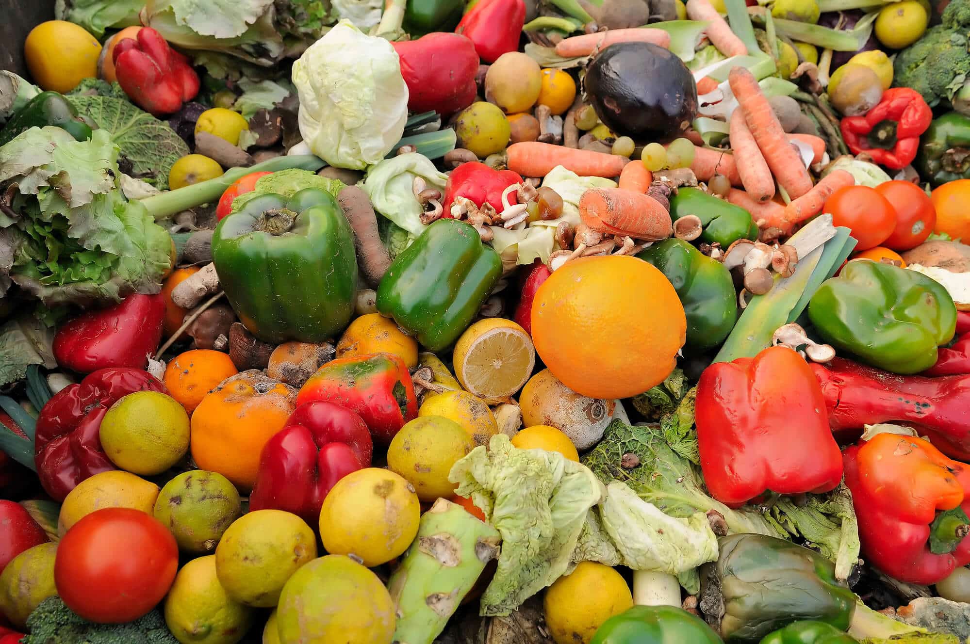 food waste Illustration: depositphotos.com