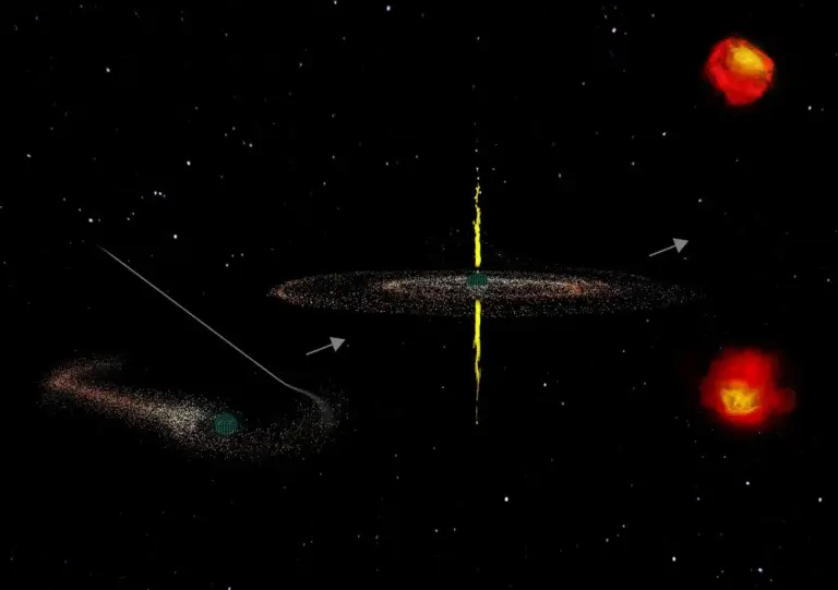 האיור הזה מראה איך CSOs כנראה נוצרים. כשכוכב אחד מסיבי מתקרב מדי לחור שחור (משמאל), הוא נטרף. זה גורם לחור השחור לפלוט סילון דו-קוטבי מאוד מהיר (במרכז). הסילון משתרע החוצה והקצוות החמים שלו זוהרים בפליטות גלי רדיו (מימין). קרדיט: B. Saxton/NRAO/AUI/NSF