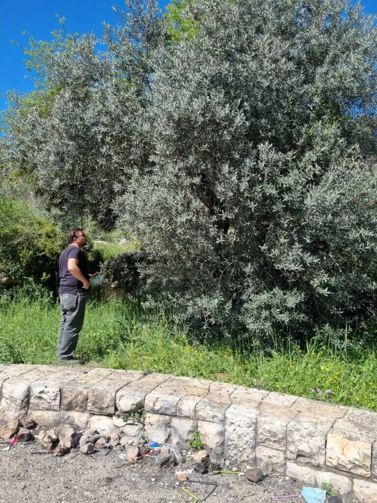צילום פרופ' עוז ברזני ופרופ' ארנון דג, מכון וולקני