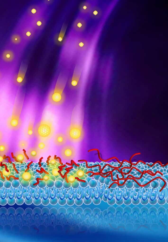 ננו-חלקיקים, נגד חיידקים. איור באדיבות פרופ' רז ילינק, אוניברסיטת בן גוריון