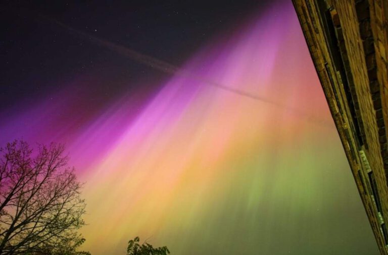 אורות הקוטב מעל לטביה, 11 במאי 2024. צילום: Lolita Tomsone