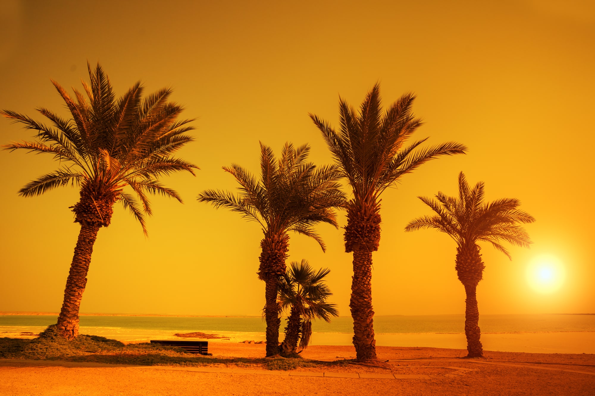 חם יותר בקיץ. <figcaption class=
