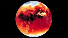 The animation above shows the daily maximum air temperature over North Africa, the Middle East, and South Asia between June 15 and 25, 2024. It was produced by combining satellite observations with temperature forecasts from a version of NASA's Earth Observatory GEOS model.
