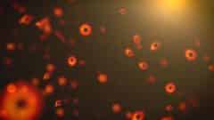 قد يكشف تلسكوب فضائي جديد سيتم إطلاقه قريبًا عن نوع جديد من الثقب الأسود "بوزن الريشة" والذي سيتحدى النظريات الحالية حول تكوين الثقب الأسود. المصدر: مركز غودارد لرحلات الفضاء التابع لناسا