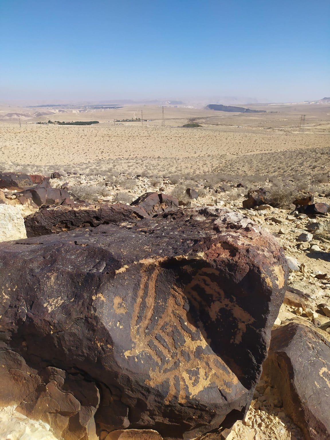 פטרוגליפים של בעלי חיים בנגב. קרדיט: לאורה רבאכין, INTK, האקדמיה לאמנות, וינה