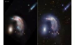 Switch to Webb's mid-infrared-only image to see PGC 1237172 almost disappearing. Mid-infrared light captures mostly cool, old stars and a huge amount of dust. Because the galaxy's stellar population is so young, it "disappears" in mid-infrared light.