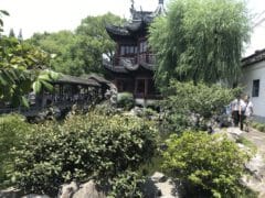 حديقة في شنغهاي. الصورة: آفي بيليزوفسكي