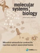 بوابة بيولوجيا الأنظمة الجزيئية التي تعرض نظام eCIS يحقن سمومًا متوقعة بواسطة الذكاء الاصطناعي. انطباع الفنان للدكتور اسحق يادغاري