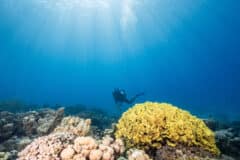 صور المسح الوطني للرصد في إيلات - قادريت - المعهد المشترك بين الجامعات