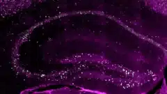 تشير الأبحاث الجديدة إلى أن الدماغ يقوم بإنشاء ثلاث نسخ على الأقل من كل ذكرى. ويشمل ذلك أيضًا تلك المشفرة بواسطة الخلايا العصبية المبكرة، والتي تظهر باللون الأرجواني في المقطع العرضي المجهري لحصين الفأر. (مصدر الصورة: بيوزنتروم، جامعة بازل)
