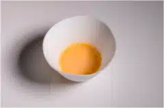 طبق كريمة الأرز والنبيذ والفطر. وصلة