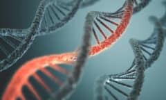 [:en]תיאור צבעוני של סליל DNA עם הדגשה באדום ופרטים מורכבים.[:]