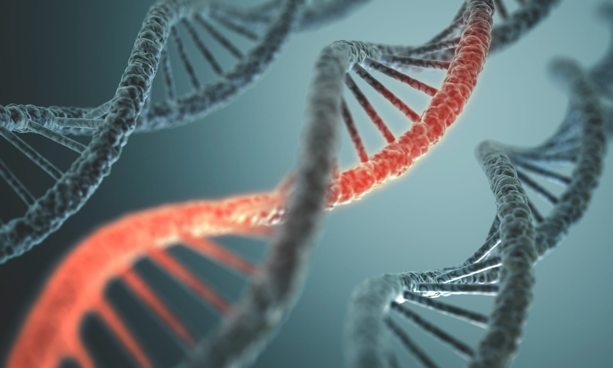מבנה DNA. המחשה: depositphotos.com