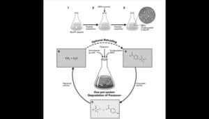 عملية كيميائية حيوية لتحلل الباروكسون باستخدام إنزيم MPH مع منتجات غير ضارة. الائتمان: جامعة تل أبيب