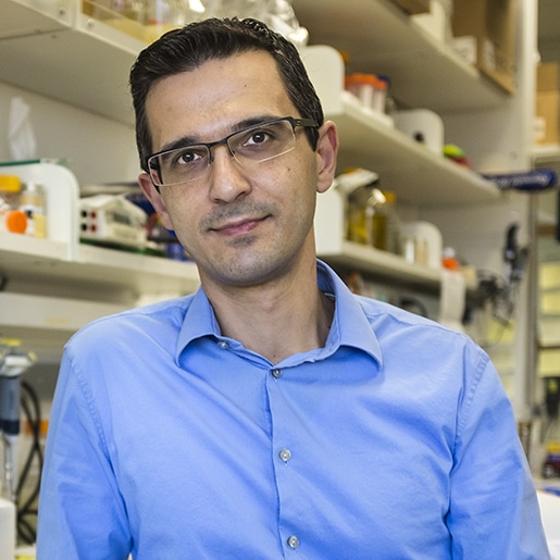 Dr. Dor Solomon. Photo: Tel Aviv University Spokesperson