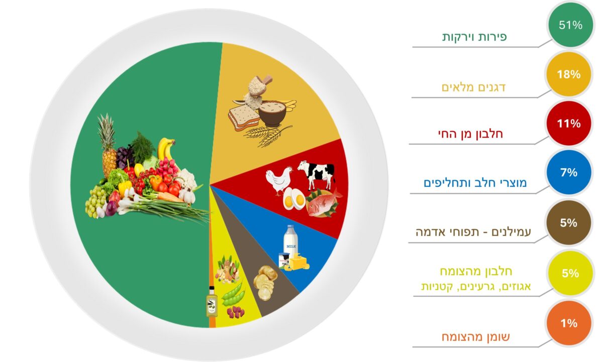 צלחת תזונתית מומלצת; מבוססת על המשקל (בגרמים ליום לנפש) של כל קבוצת מזון מתוך סך הכול. מקור: עיבוד מוסד שמואל נאמן לנתוני משרד הבריאות – קשת המזון החדשה של ישראל