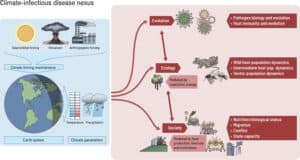 العلاقة بين المناخ والأمراض المعدية: تغير المناخ وآثاره على المرض. كارين AF زونفيلد وآخرون. 2025