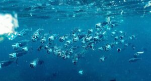 الصورة: ناجا بيرتولت جنسن، Unsplash