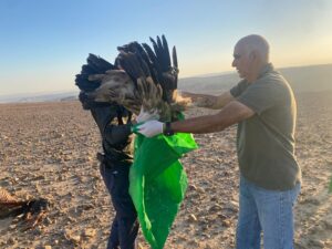 יש קשר בין חשיפה לחומרי ההדברה, בעיקר של חקלאים ועובדים בריסוס, לתופעות לוואי ואף לסוגי סרטן שונים. צילום: שלומית שביט, רשות הטבע והגנים