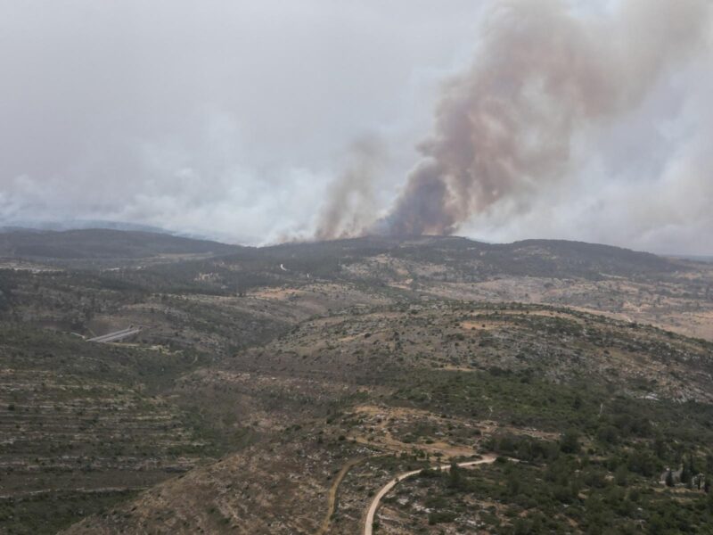 בעוד ששריפות תמיד היו כאן, נראה שמשבר האקלים מחמיר גם התדירות וגם העוצמה שלהן. שריפת הענק בהרי ירושלים ביום העצמאות. צילום: יאיר ברקן
