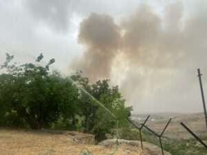 "There is a need for one body that will comprehensively address the issue of fires, coordinate treatment and prevention, and also provide training in the field to relevant professionals in order to align." Flame retardant spread during a fire in the Jerusalem hills. Photo: Yael Messelton