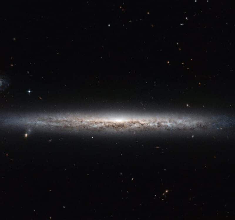 NGC 3507, גלקסיה ספירלית יפה בקבוצת אריה, גונבת את הפוקוס ואילו השותפה הגלקטית שלה נשארת מחוץ לתמונה המרהיבה הזאת שצילם טלסקופ החלל האבל. קרדיט: ESA/Hubble & NASA, D. Thilker