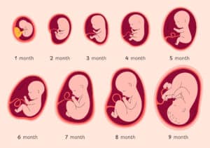 ننتقل الآن إلى اختيار مجموعة متنوعة من الميزات مسبقًا. صورة توضيحية: depositphotos.com