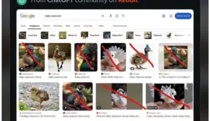 גוזלי הטווסים המזויפים. קרדיט: DuckDuckGo