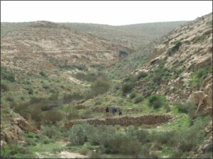 منظر صحراوي صخري، واد جاف، شجيرات، متجولون، طبيعة صحراوية بعيدة.