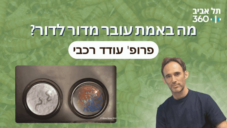 פרופ' עודד רכבי. צילום: אוניברסיטת תל אביב