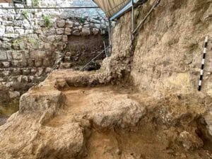 הקש שפרץ את הסכר: דגימות ארכאולוגיות של קש מיקרוסקופי שהוטמן בטיט בזמן הבנייה וסלל את הדרך להישג תיארוך יוצא דופן. תצלום: ד"ר יוהנה רגב / היחידה לארכאולוגיה מדעית, מכון ויצמן למדע