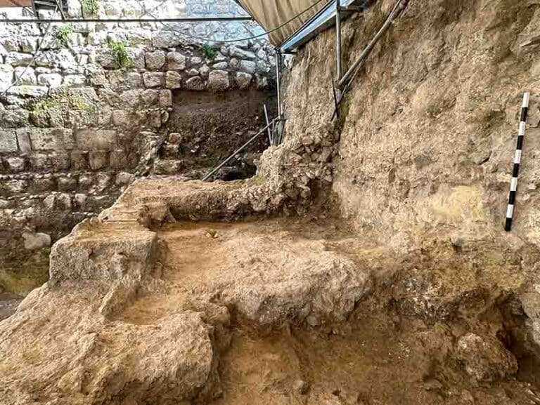 הקש שפרץ את הסכר: דגימות ארכאולוגיות של קש מיקרוסקופי שהוטמן בטיט בזמן הבנייה וסלל את הדרך להישג תיארוך יוצא דופן. תצלום: ד"ר יוהנה רגב / היחידה לארכאולוגיה מדעית, מכון ויצמן למדע