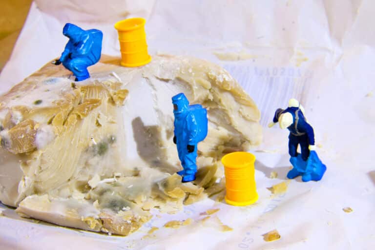 בזבוז מזון. המחשה: depositphotos.com