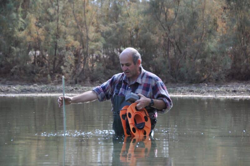 "החפרית נצפתה לראשונה בישראל לפני למעלה ממאה שנה בשלולית חורף באזור הצ'ק פוסט בחיפה". פרופ' שריג גפני. צילום באדיבות המצולם