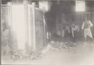 משרפת האשפה המשיכה לשרת את עיריית ירושלים הירדנית. צילום באדיבות ארכיון המדינה