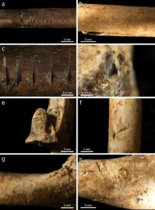 بعثة التنقيب في مصطبة كهف النهر. الصورة: جامعة حيفا