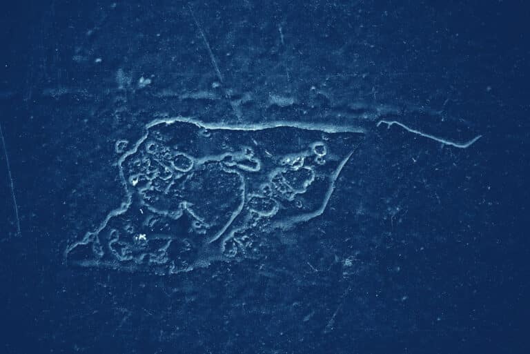 חיידק הליגיונלה. המחשה: depositphotos.com