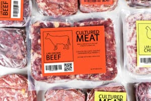 اللحوم المزروعة. الرسم التوضيحي: موقع Depositphotos.com